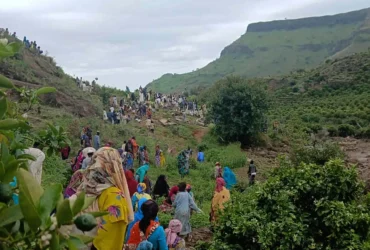 AP25245361320711-1756889945